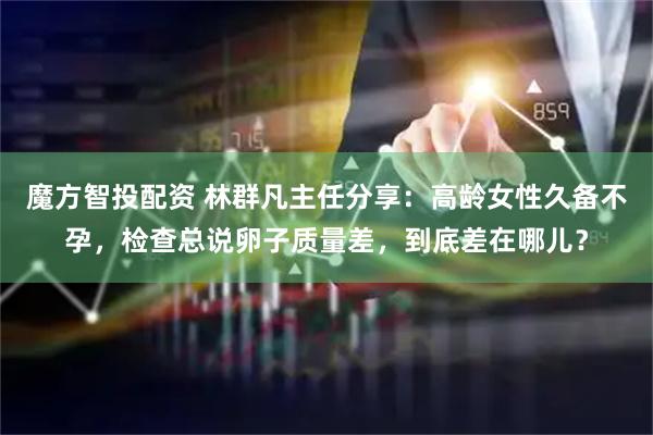 魔方智投配资 林群凡主任分享：高龄女性久备不孕，检查总说卵子质量差，到底差在哪儿？