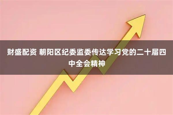 财盛配资 朝阳区纪委监委传达学习党的二十届四中全会精神