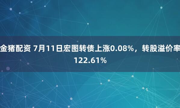 金猪配资 7月11日宏图转债上涨0.08%,转股溢价率122.61%