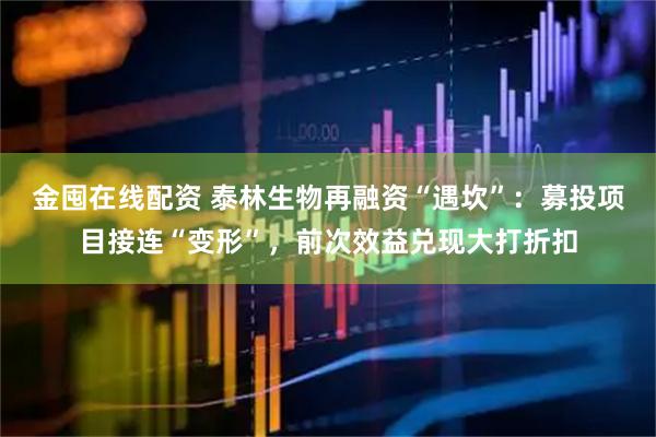 金囤在线配资 泰林生物再融资“遇坎”:募投项目接连“变形”,前次效益兑现大打折扣